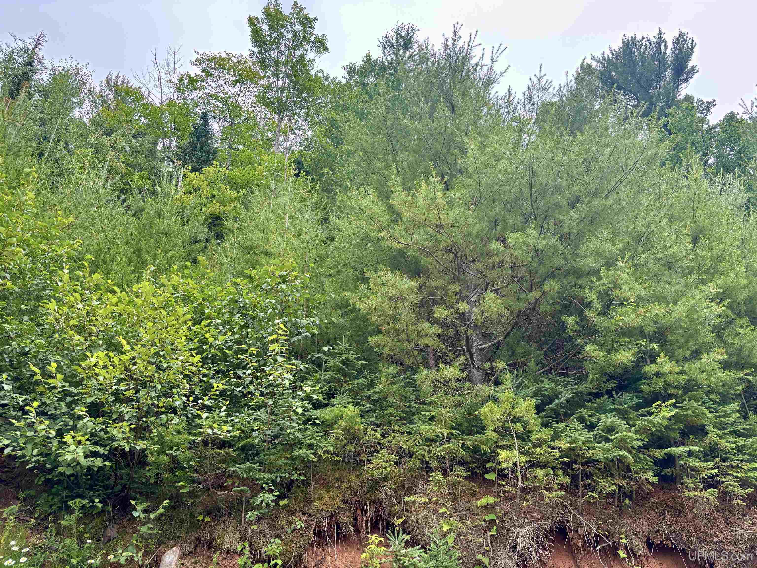 1051 Suncliffe Drive Ishpeming, MI 49849 - Photo 8 of 8