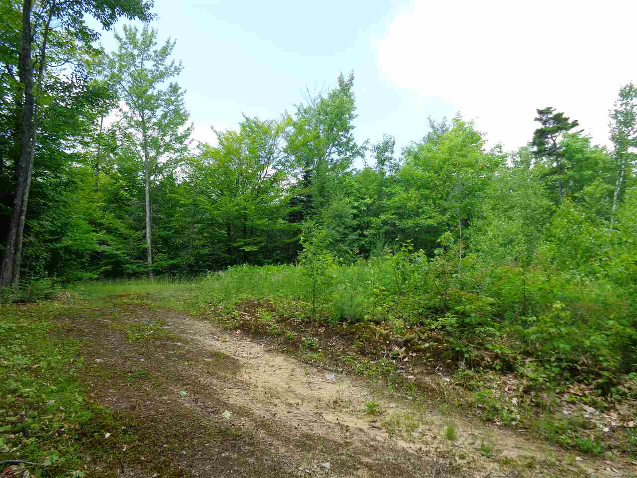 Lot 6 Jackson Ridge Road Danbury, NH 03230 - Photo 1 of 8 Gallery Image 1