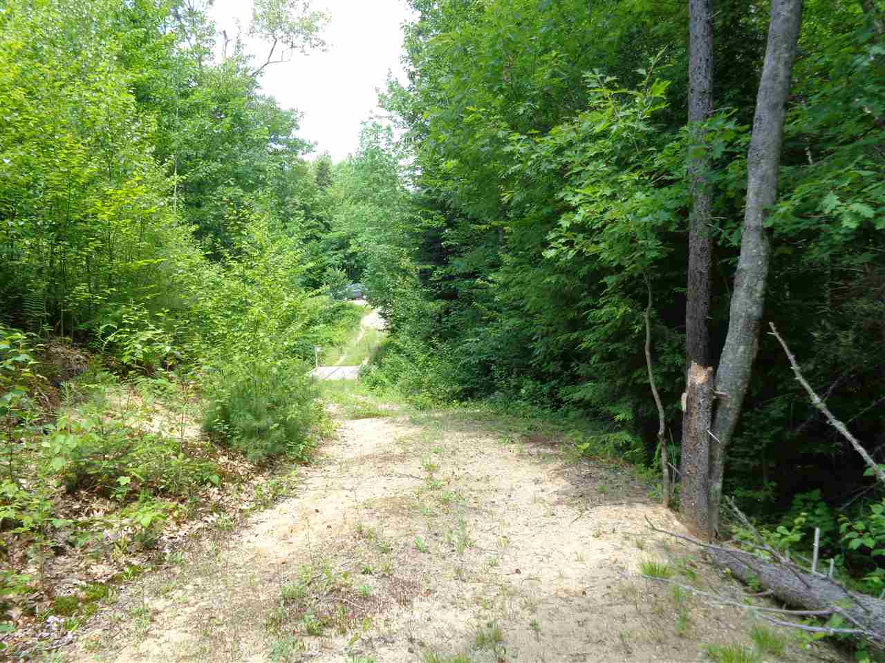 Lot 6 Jackson Ridge Road Danbury, NH 03230 - Photo 3 of 8 Gallery Image 3