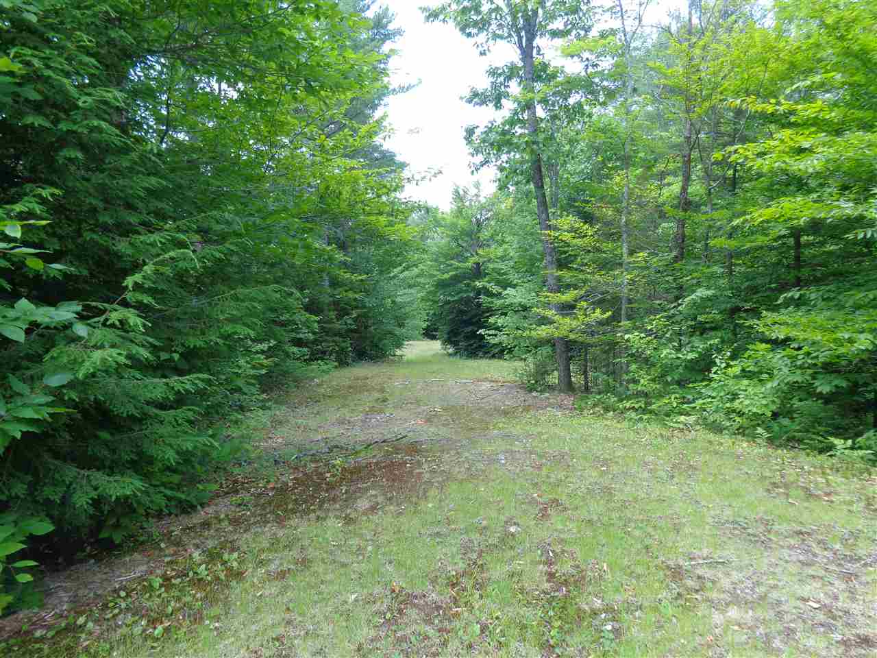 Lot 6 Jackson Ridge Road Danbury, NH 03230 - Photo 4 of 8 Gallery Image 4