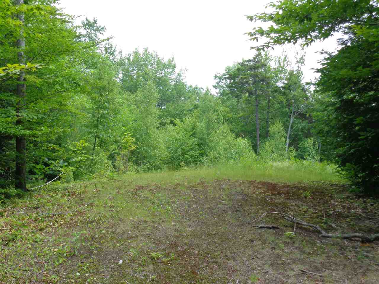 Lot 6 Jackson Ridge Road Danbury, NH 03230 - Photo 5 of 8 Gallery Image 5