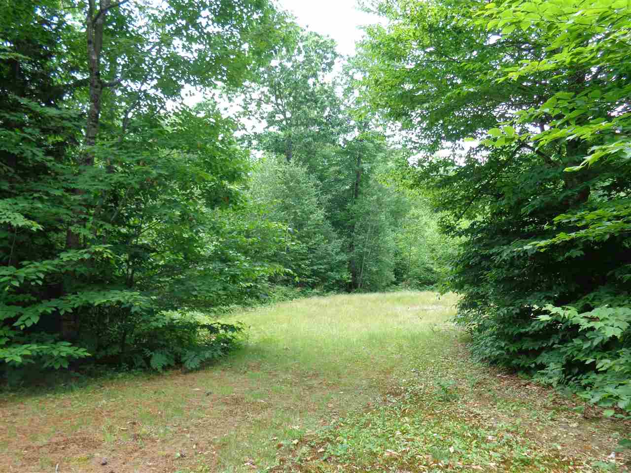 Lot 6 Jackson Ridge Road Danbury, NH 03230 - Photo 6 of 8 Gallery Image 6