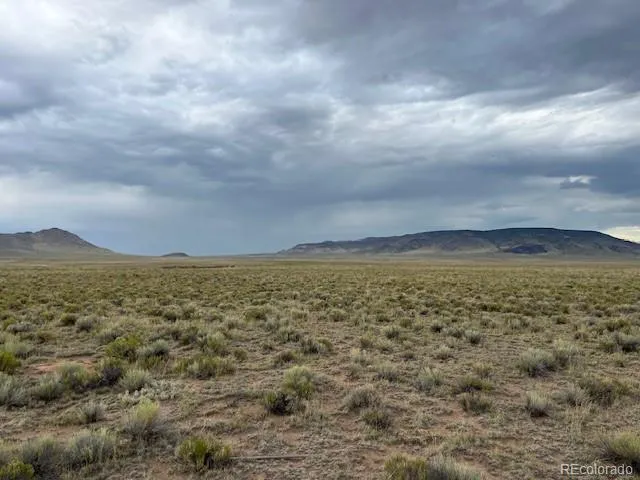 a view of a field with an ocean