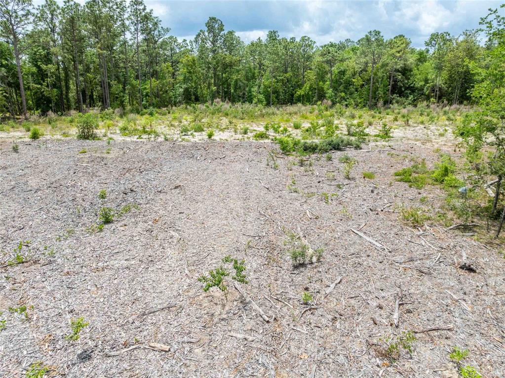 15022 Gar Street Spring Hill, FL 34609 - Photo 17 of 26 Gallery Image 17