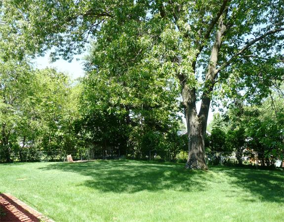 12 Warwick Road Franklin, MA 02038 - Photo 20 of 21 Gallery Image 20