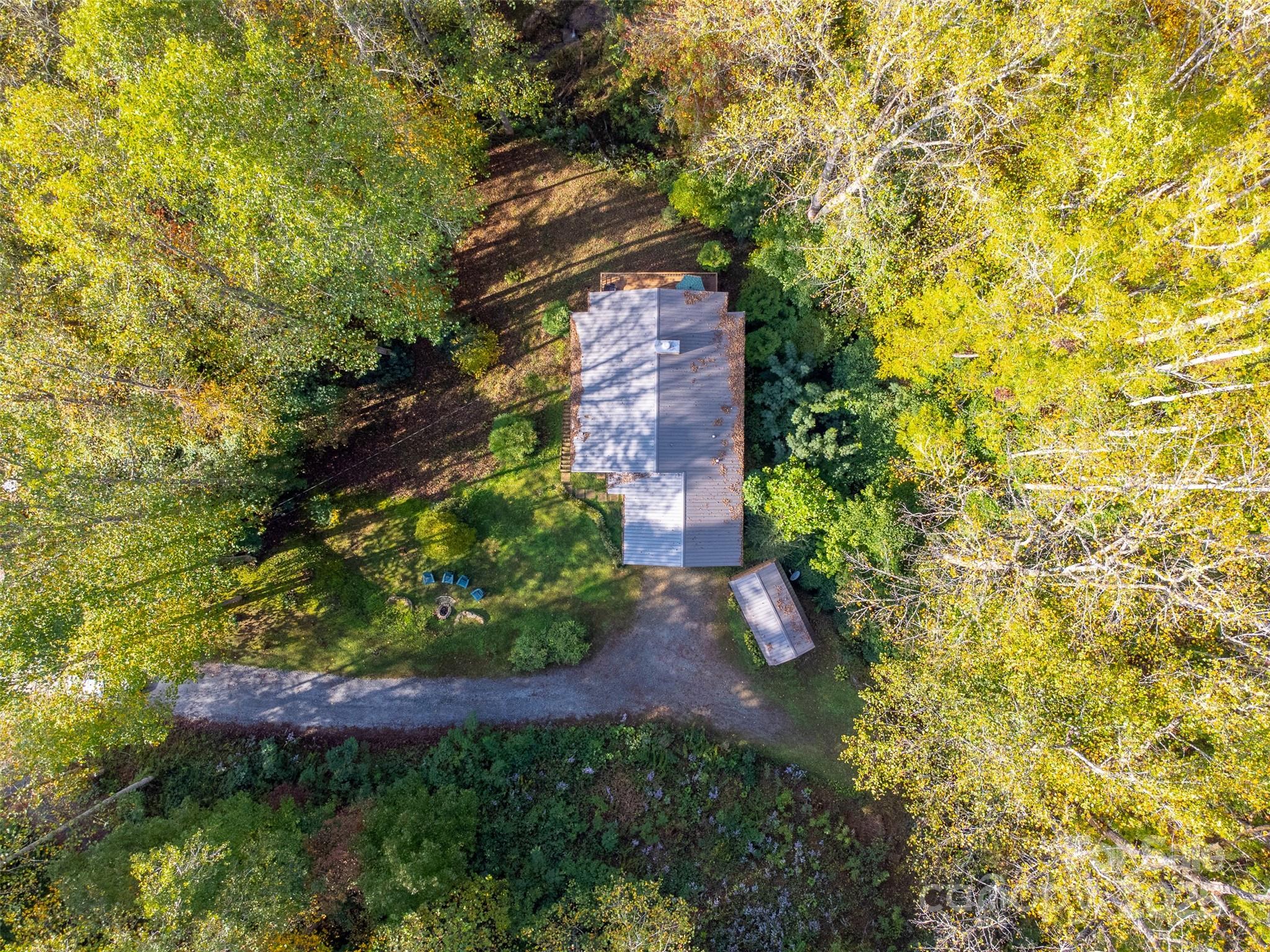 125 Nugget Lane Sylva, NC 28779 - Photo 25 of 30 a view of a garden with plants and large trees