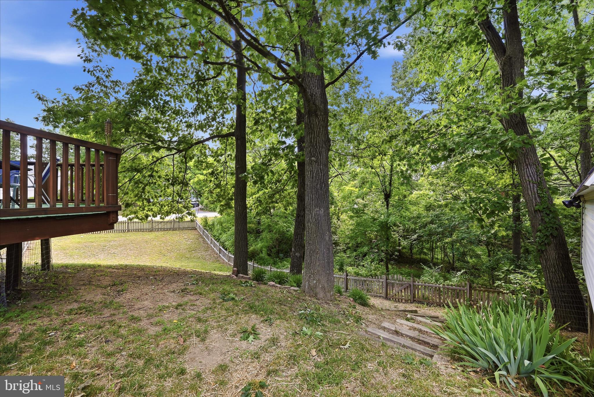 101 Charlton Road Winchester, VA 22602 - Photo 35 of 58 Backyard
