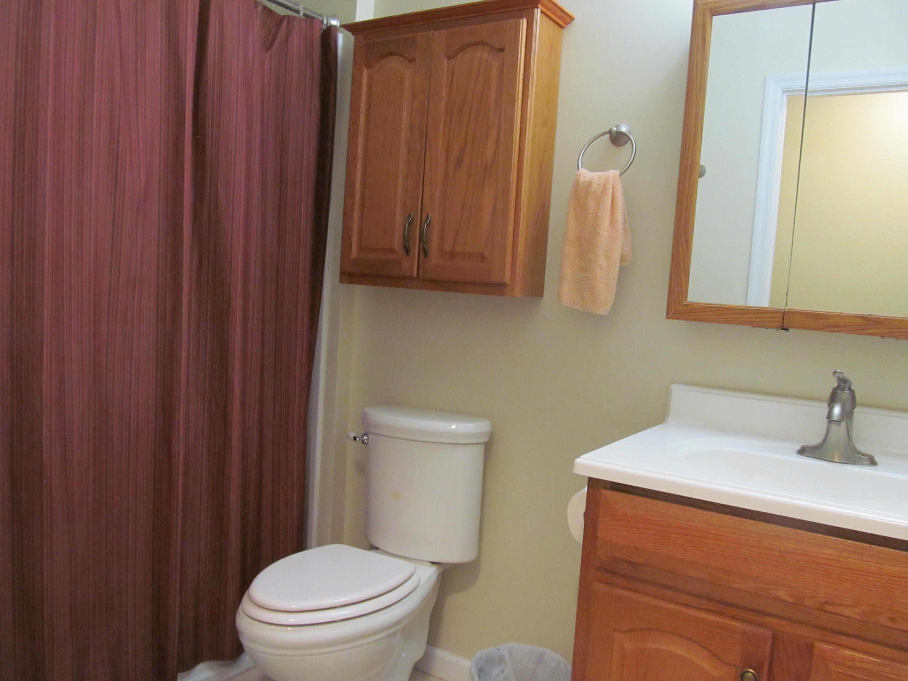 5002 Jackson River Road Hot Springs, VA 24445 - Photo 26 of 67 IMG_4197
