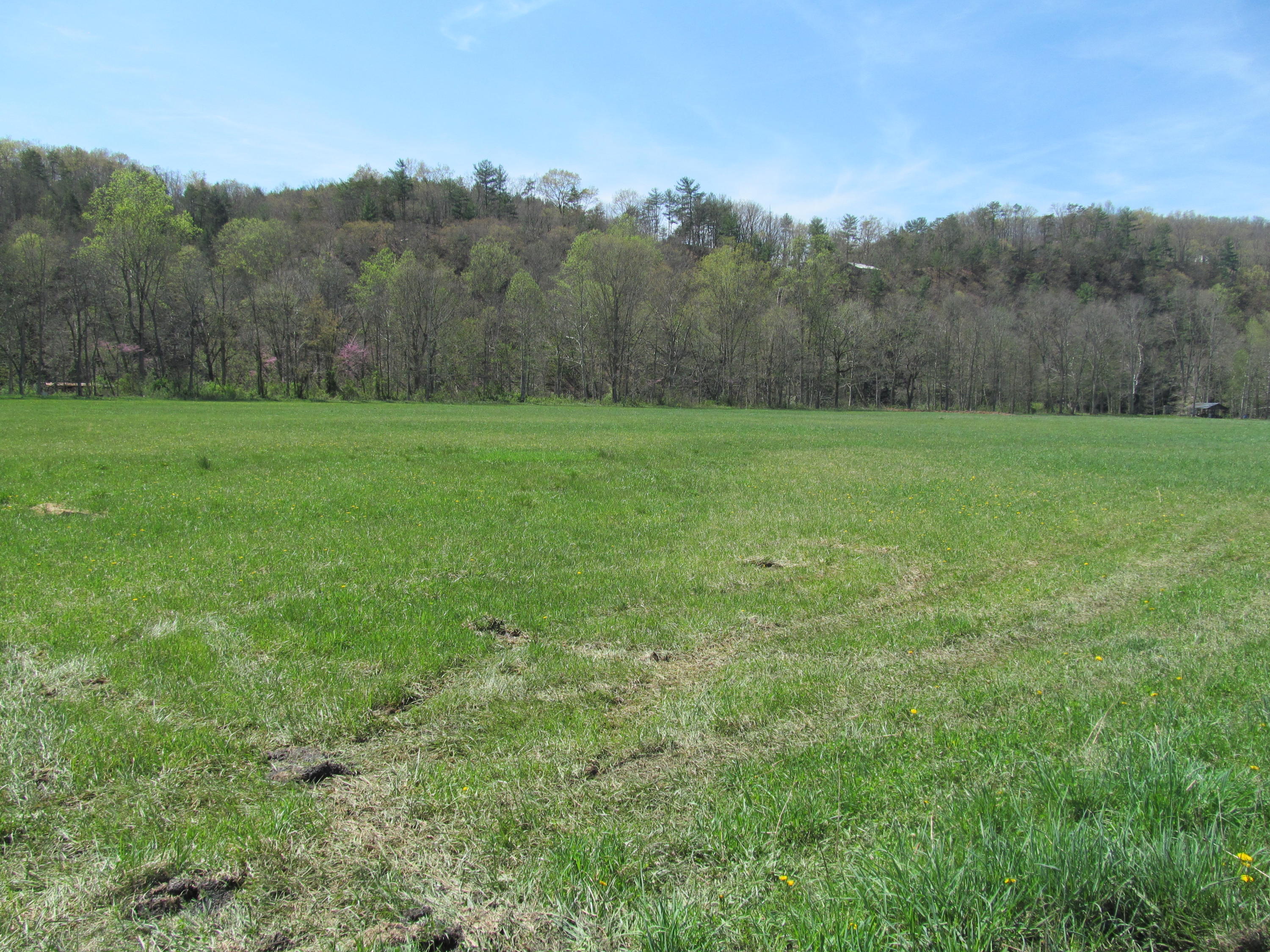 5002 Jackson River Road Hot Springs, VA 24445 - Photo 58 of 67 IMG_4232