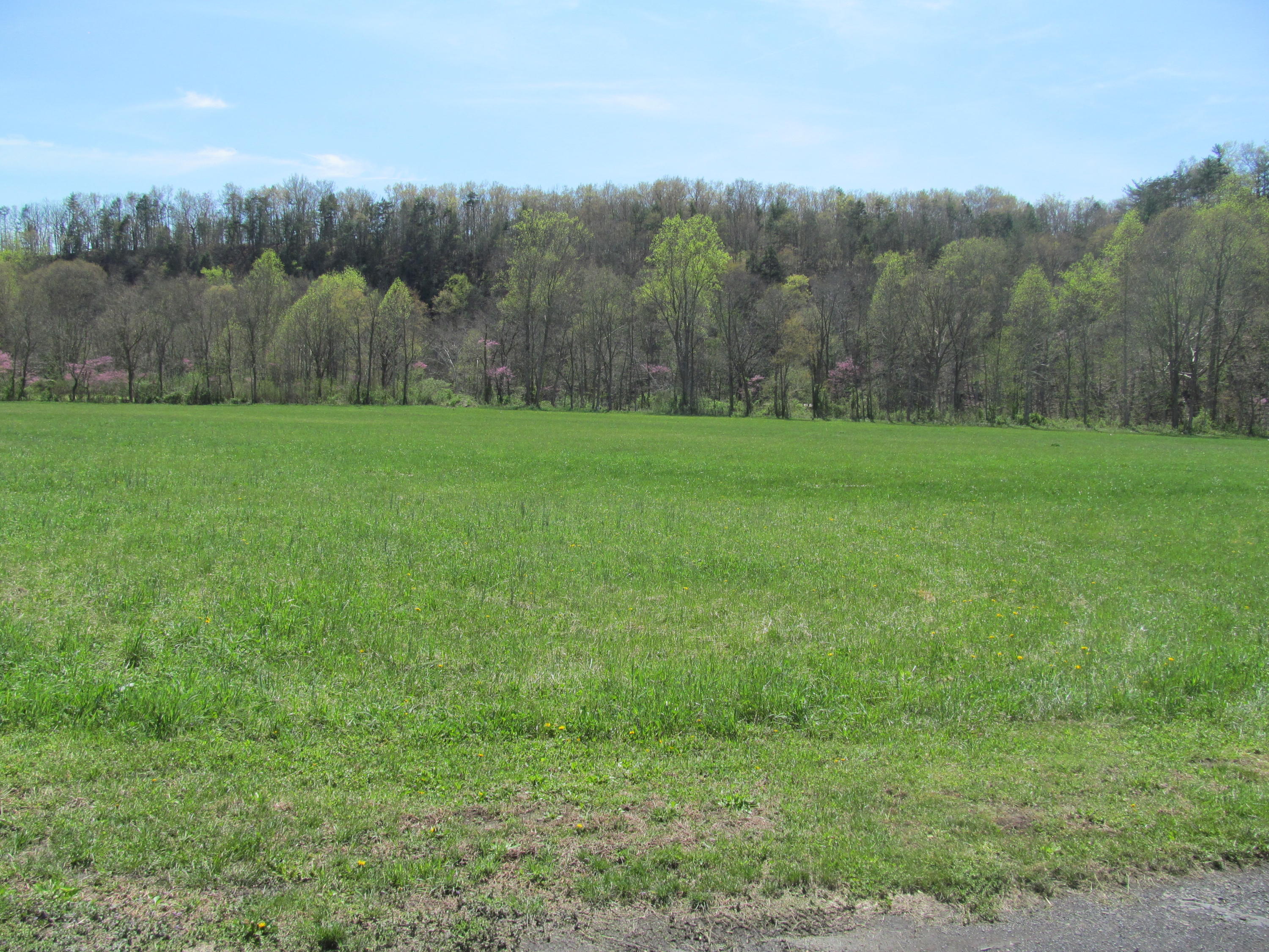 5002 Jackson River Road Hot Springs, VA 24445 - Photo 59 of 67 IMG_4237