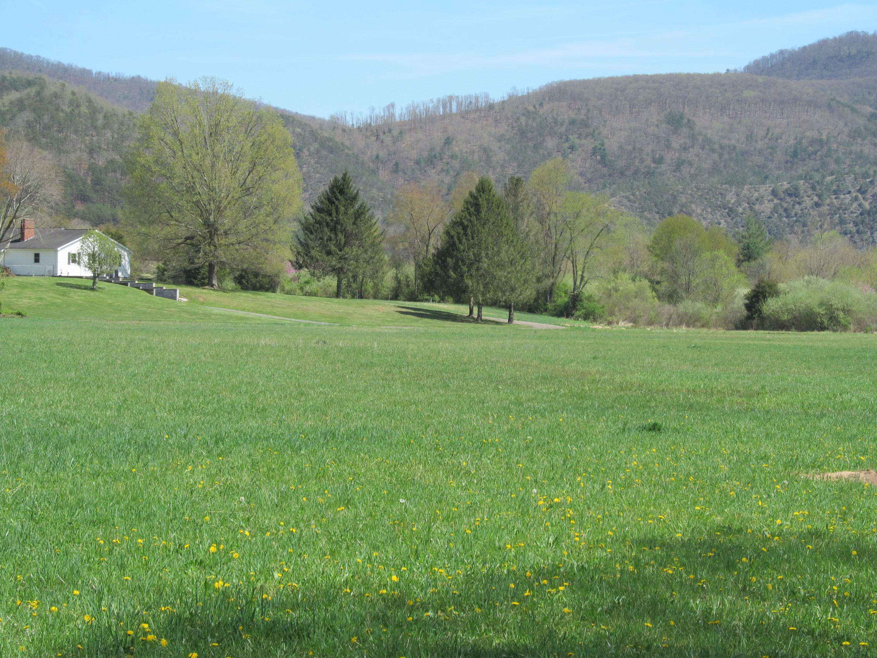 5002 Jackson River Road Hot Springs, VA 24445 - Photo 61 of 67 IMG_4239