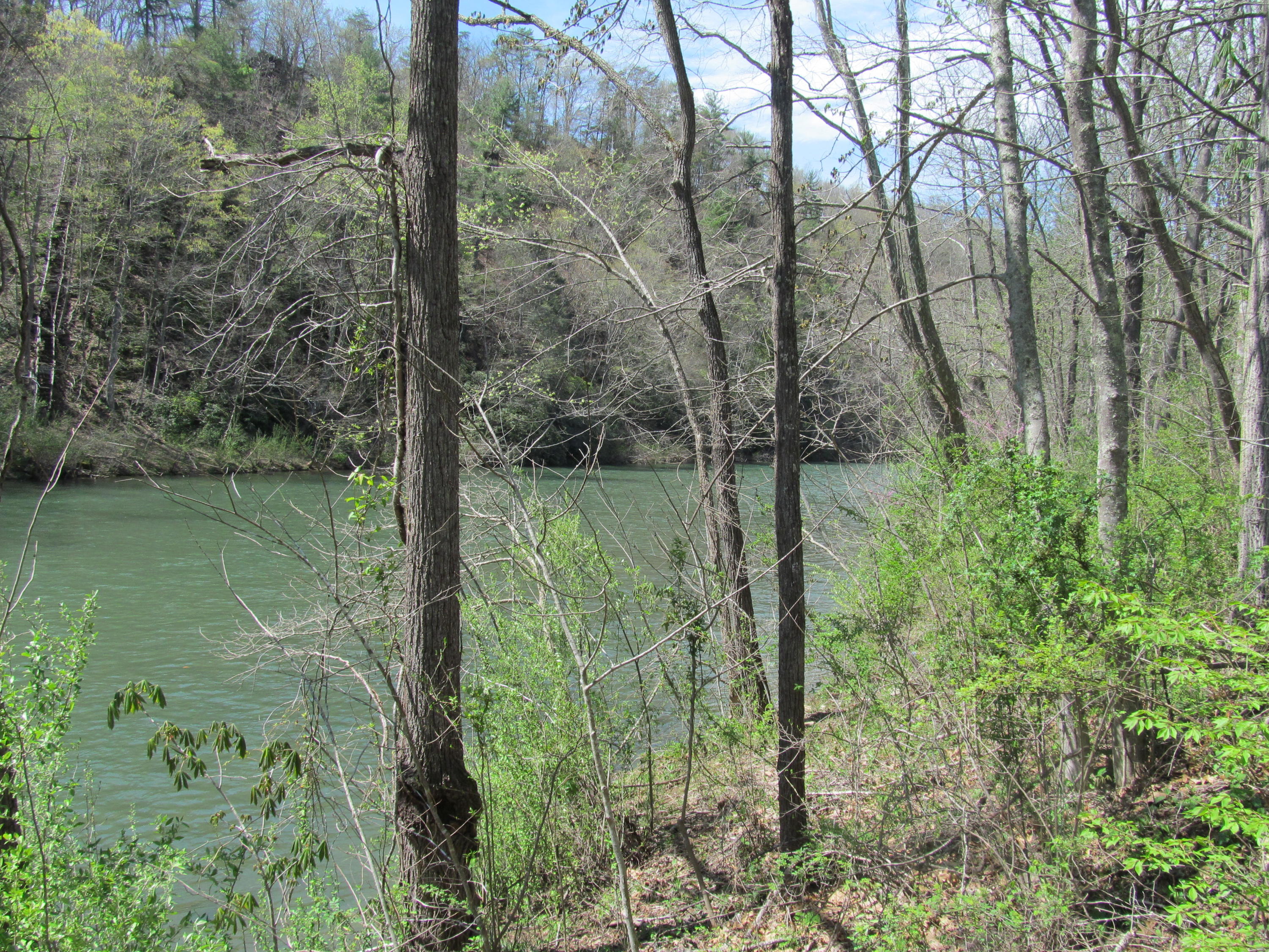 5002 Jackson River Road Hot Springs, VA 24445 - Photo 64 of 67 IMG_4244