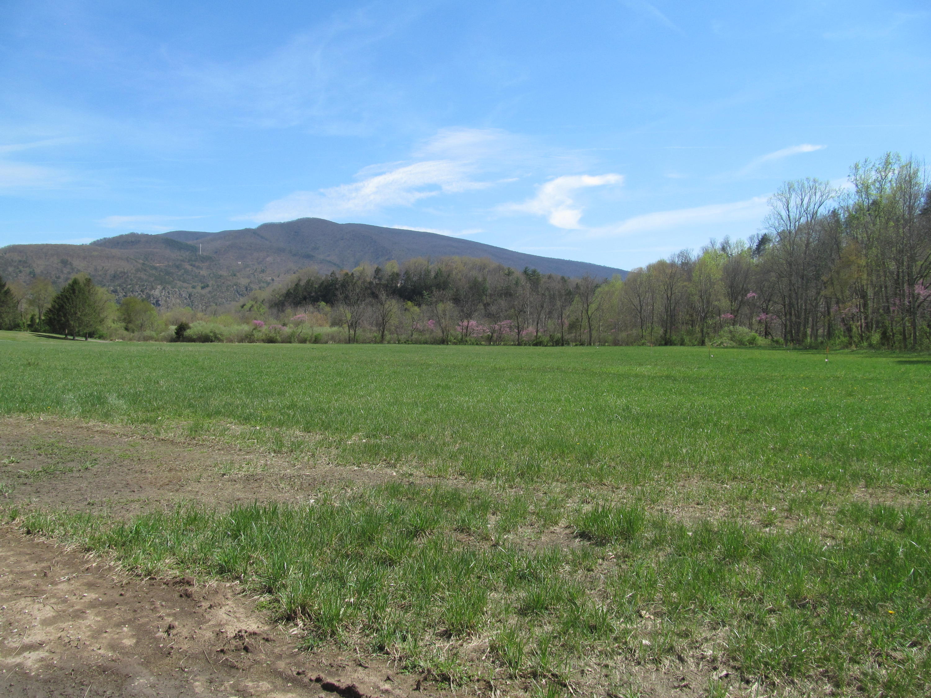 5002 Jackson River Road Hot Springs, VA 24445 - Photo 67 of 67 IMG_4247