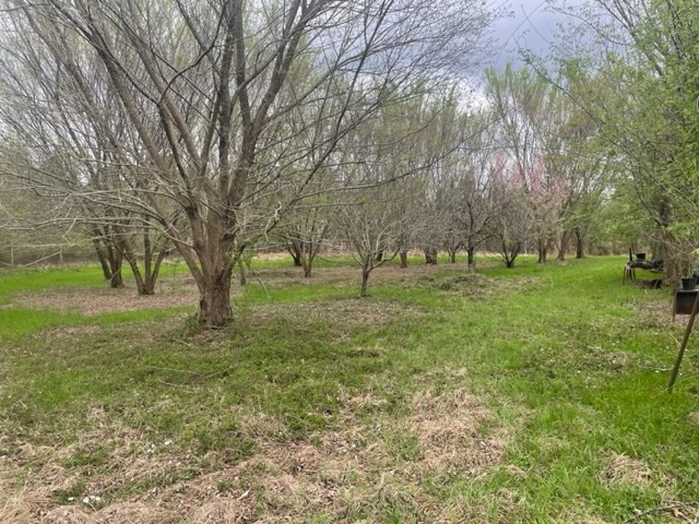152 Dearborn Road North, SC 29112 - Photo 7 of 10 Orchard
