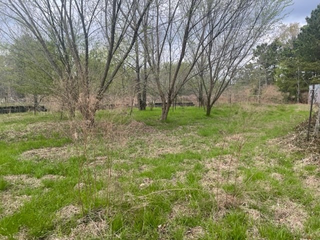 152 Dearborn Road North, SC 29112 - Photo 8 of 10 Photo 8