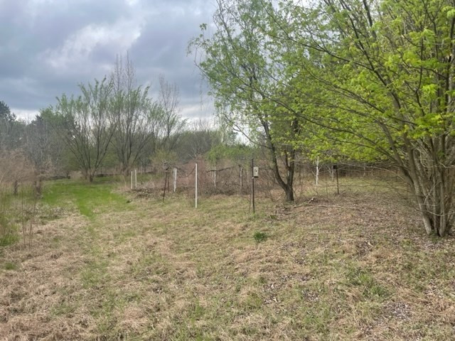 152 Dearborn Road North, SC 29112 - Photo 9 of 10 Photo 9