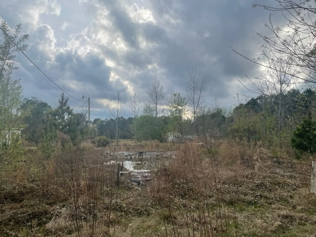 152 Dearborn Road North, SC 29112 - Photo 10 of 10 Pond area