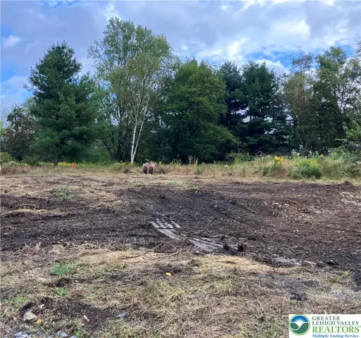 a view of dirt yard with a trees
