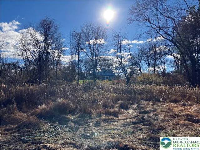 a view of a yard covered with trees