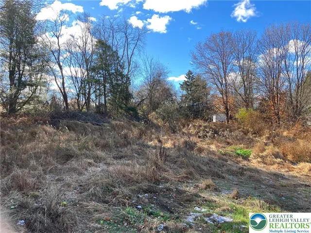 a view of dirt yard with a trees