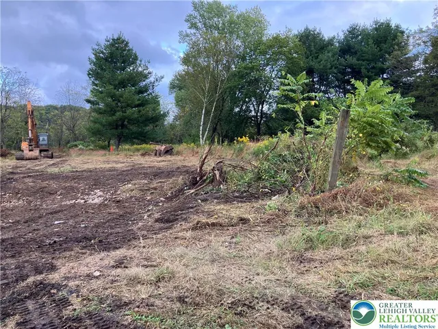 a view of a yard with large trees