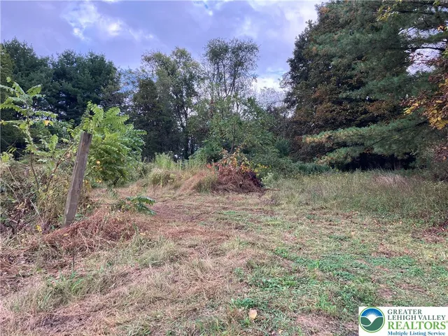 a view of a lake with a tree in the background