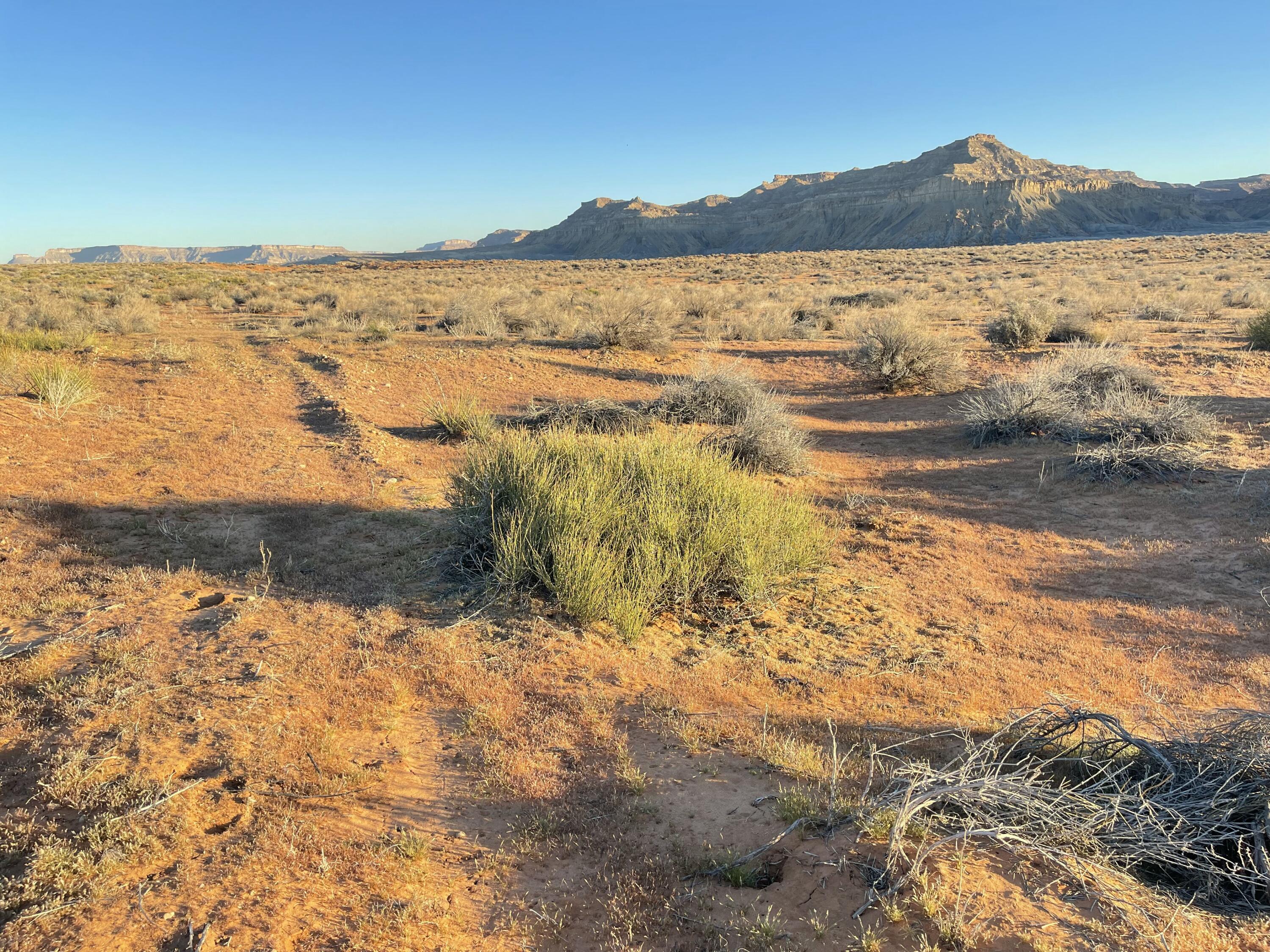 Freedom Way, Unit 26 Kanab, UT 84741 - Photo 4 of 8 S lot line looking across lot