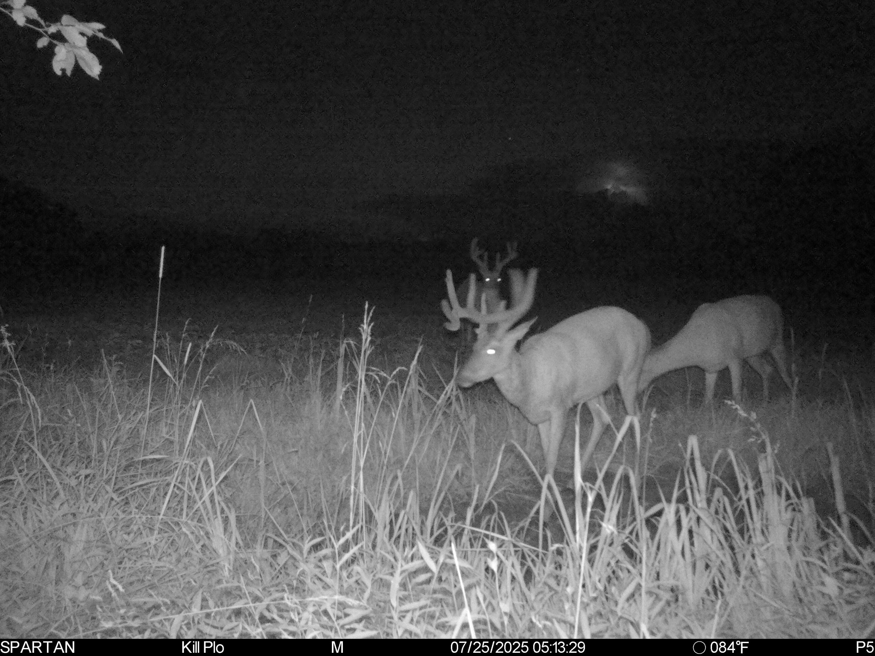 0 Stoneburner Road Northwest Crooksville, OH 43731 - Photo 20 of 26 image10