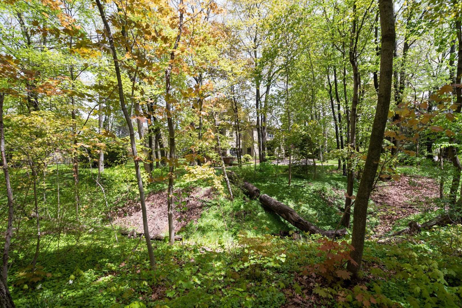 51 Stone Gate Road Lake Forest, IL 60045 - Photo 22 of 26 Gallery Image 22