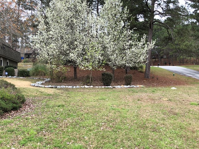 7240 Standing Boy Road Columbus, GA 31904 - Photo 2 of 23 Gallery Image 2
