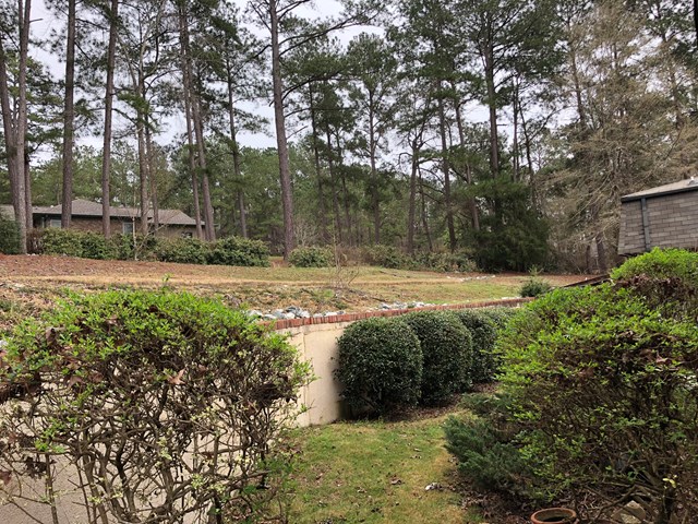 7240 Standing Boy Road Columbus, GA 31904 - Photo 3 of 23 Gallery Image 3