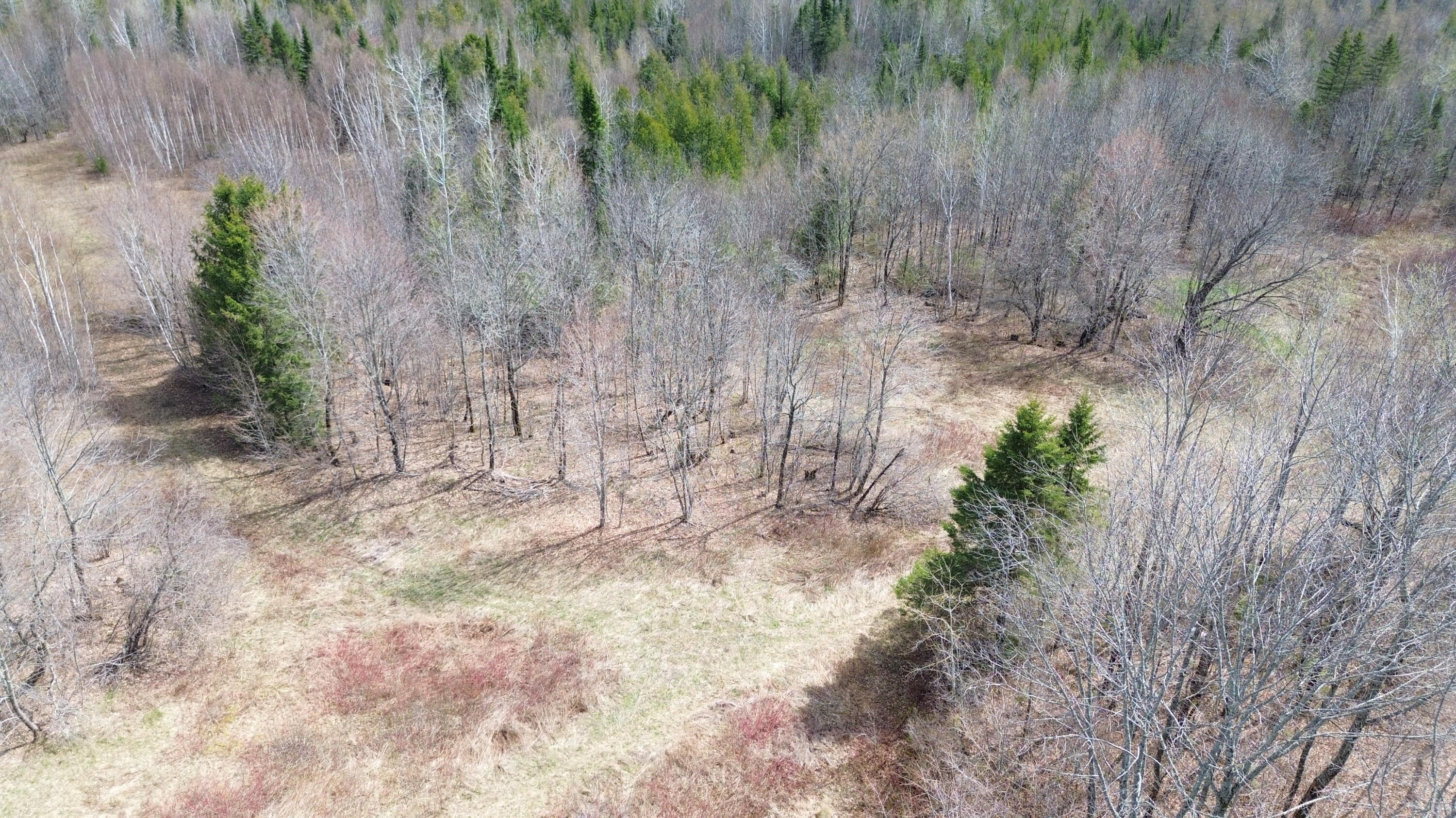 1063 Ludlow Road Ludlow, ME 04730 - Photo 34 of 36 DJI_0770