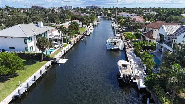 a close up of a flower in a garden