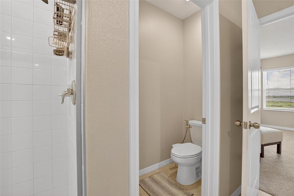 31783 Sun Kettle Loop Wesley Chapel, FL 33545 - Photo 19 of 73