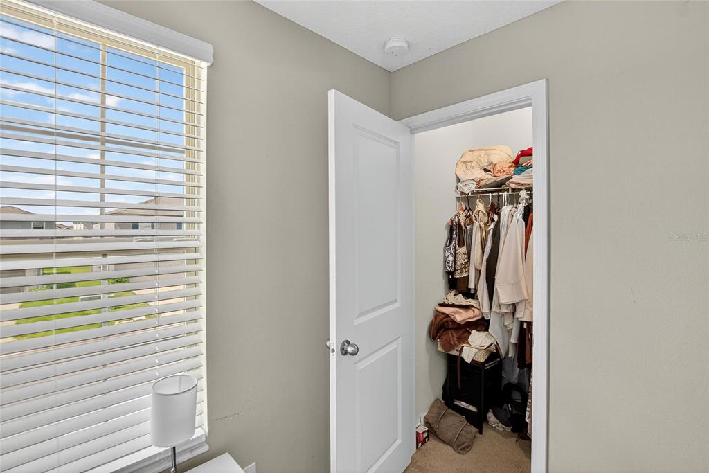 31783 Sun Kettle Loop Wesley Chapel, FL 33545 - Photo 45 of 73