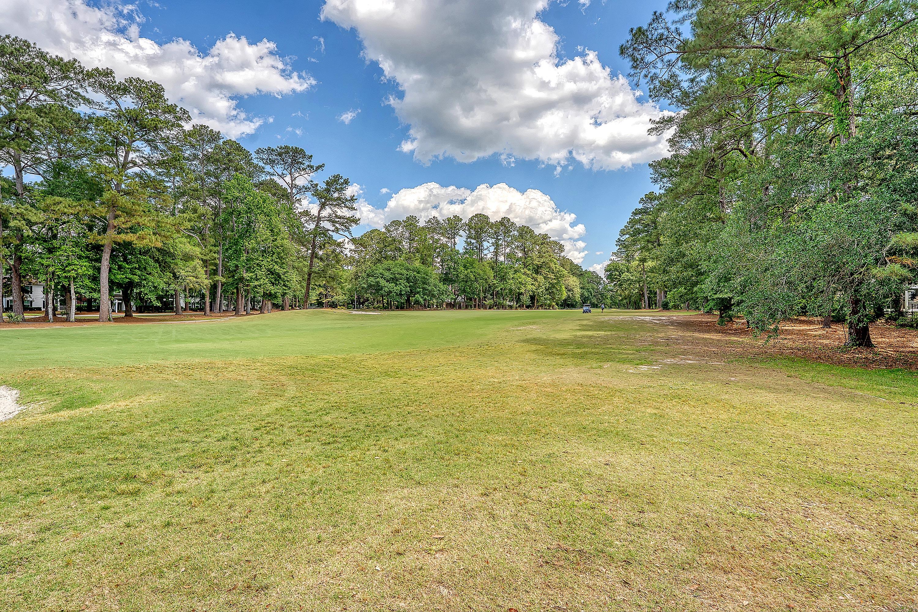 322 Clubview Road Summerville, SC 29485 - Photo 70 of 89 DSC06042_60-copy