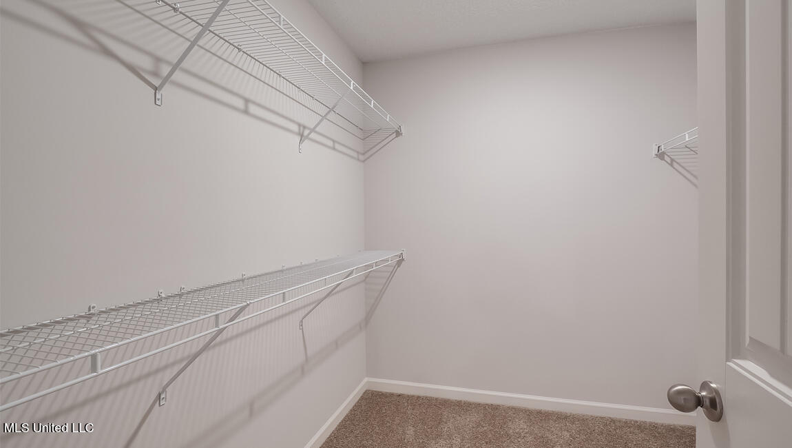 18 Thorn Tree Street Byhalia, MS 38611 - Photo 10 of 20 24_TN_Memphis_Willow-Point_Primary-Close