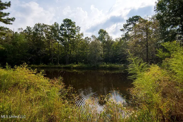 $225,000 | 74 Timberlane Road, Monticello, MS 39654