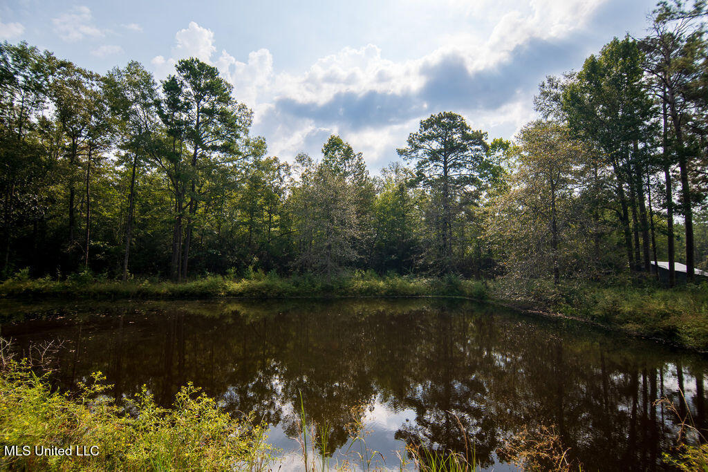 74 Timberlane Road Monticello, MS 39654 - Photo 25 of 25 P1509077