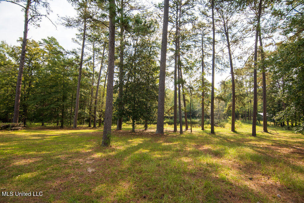 74 Timberlane Road Monticello, MS 39654 - Photo 27 of 29 P1509070