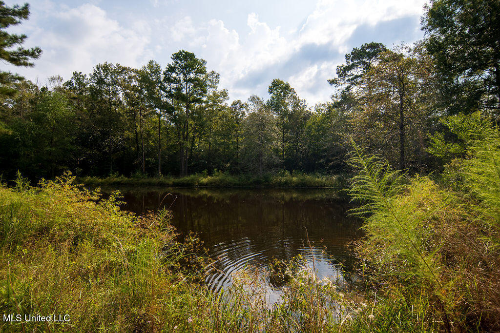 74 Timberlane Road Monticello, MS 39654 - Photo 28 of 29 P1509074