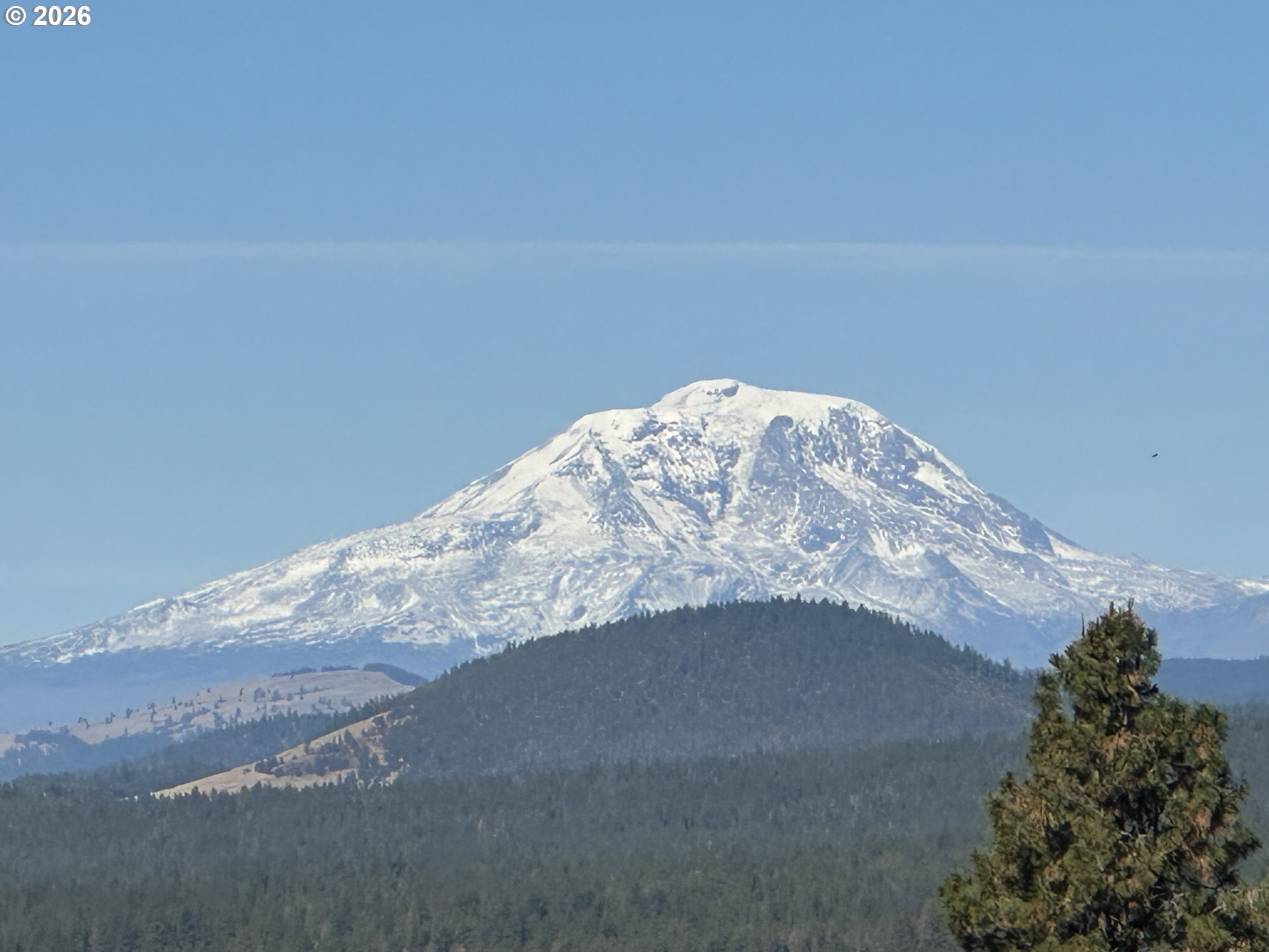 36 Adams Loop Road Goldendale, WA 98620 - Photo 5 of 45 Gallery Image 5