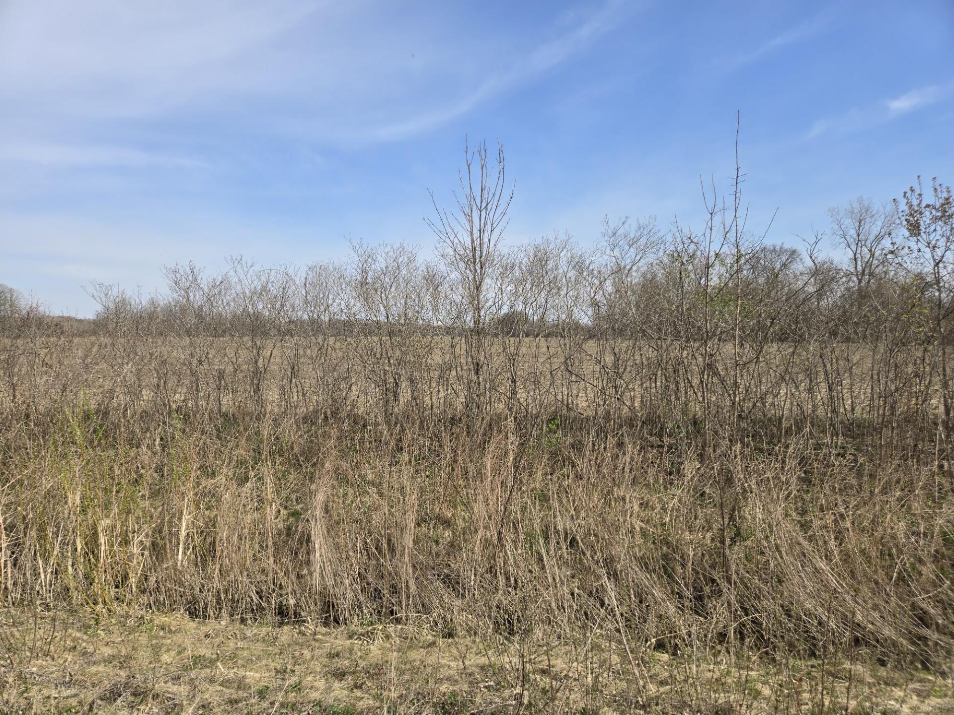 0 Weber (lot B) Road Columbus, MI 48063 - Photo 10 of 14