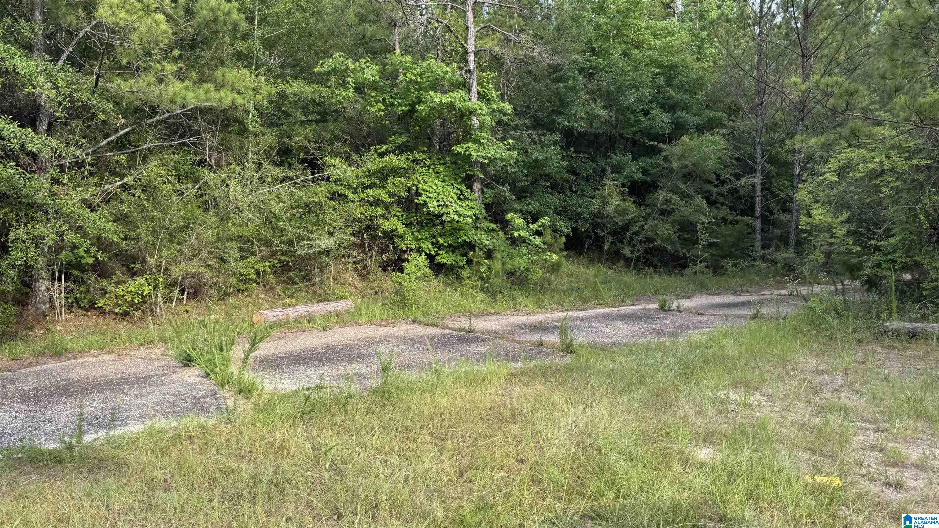 0 Midway Road Tuskegee, AL 36083 - Photo 13 of 30