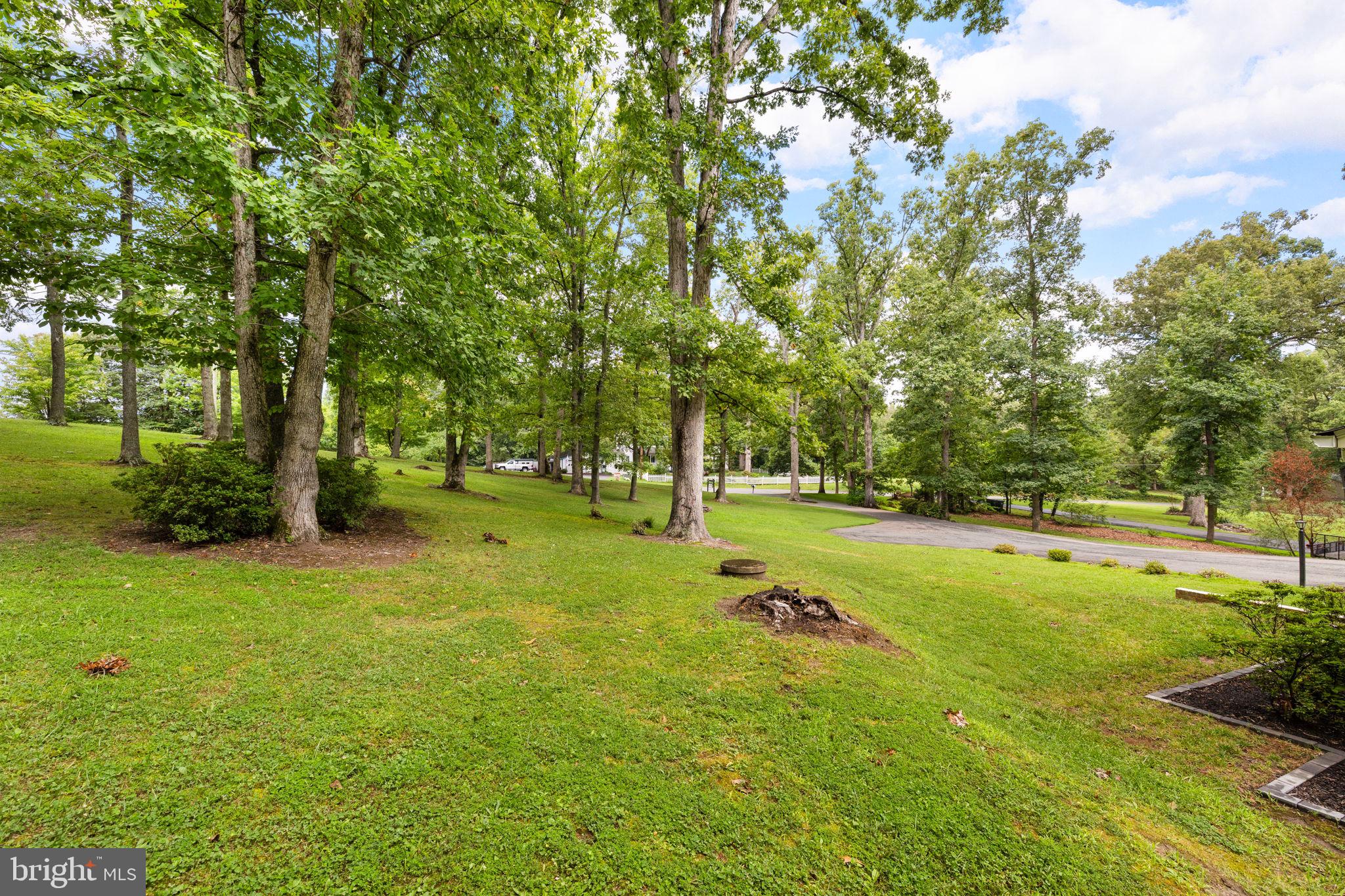 498 Brooke Road Fredericksburg, VA 22405 - Photo 42 of 46 Gallery Image 42