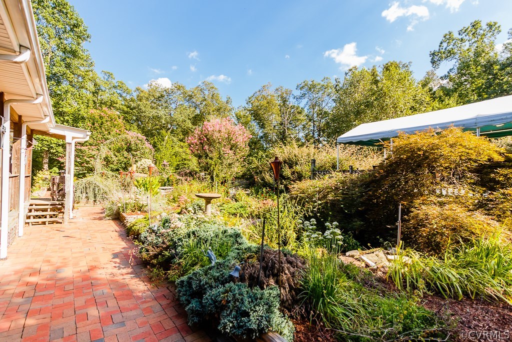 8485 Stumpy Road Hanover, VA 23069 - Photo 41 of 50 a view of outdoor space and garden