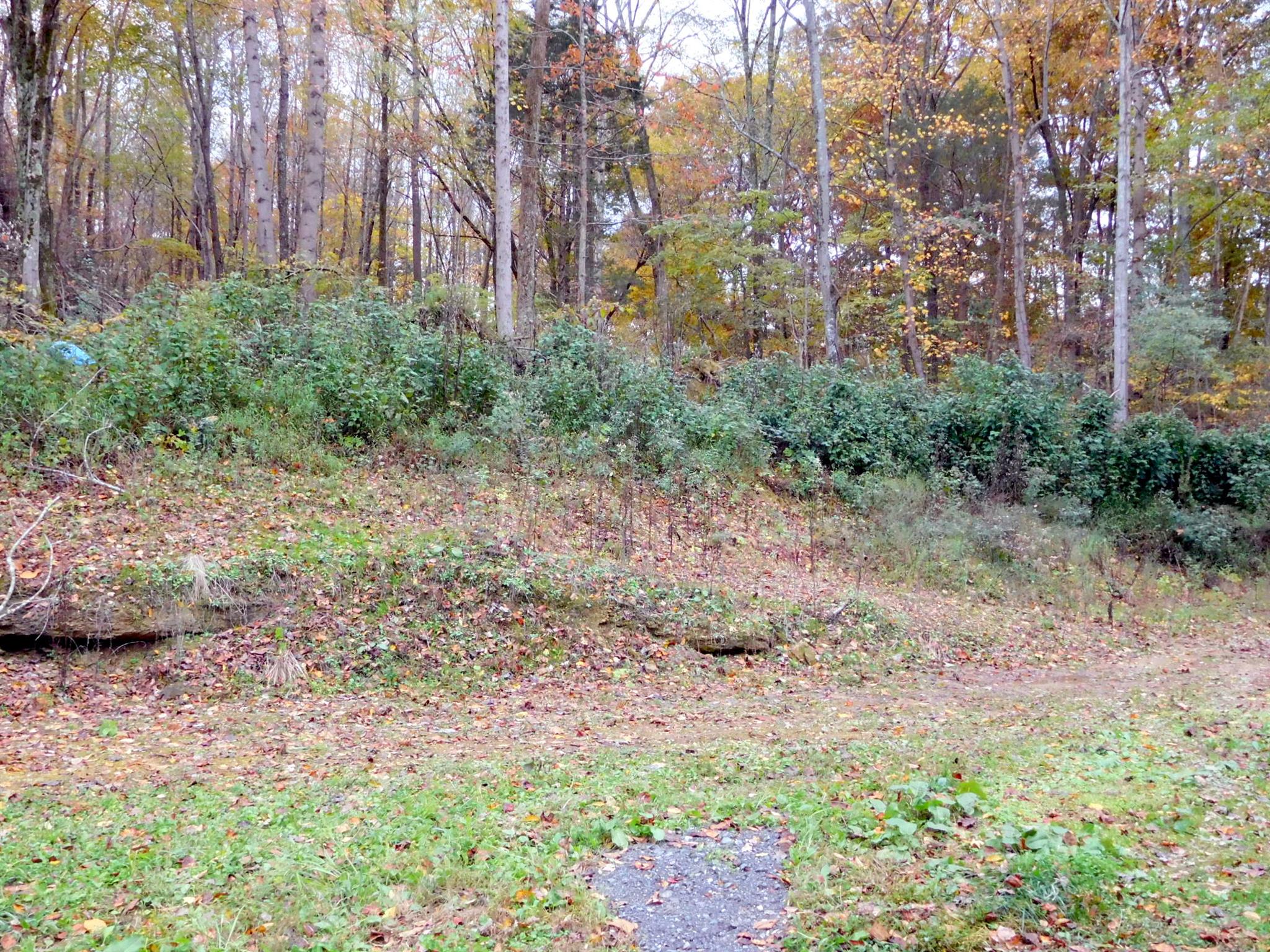 1032 Kaity Brooke Road Portland, TN 37148 - Photo 19 of 23 View from your back deck. Lots of privacy.