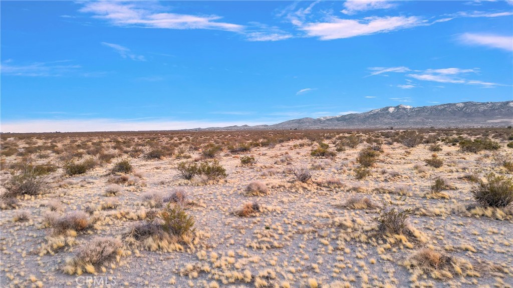 0 Off Of Cactus Road Phelan, CA 92371 - Photo 8 of 10
