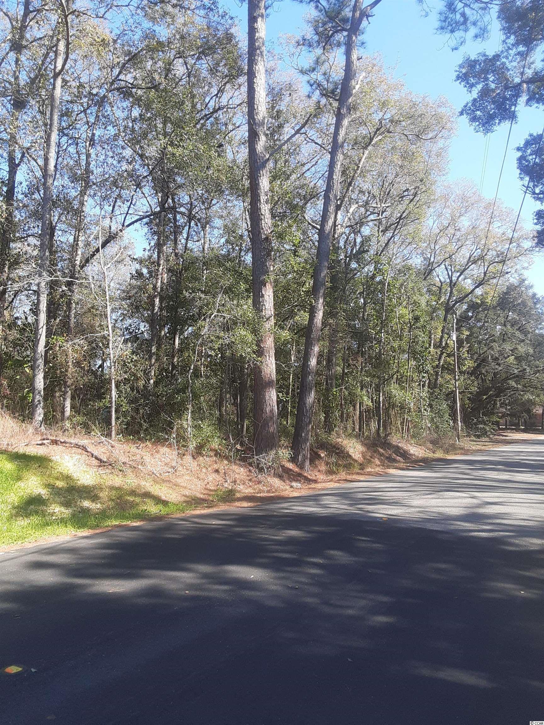 6946 North Fraser Street Georgetown, SC 29440 - Photo 3 of 4 Gallery Image 3