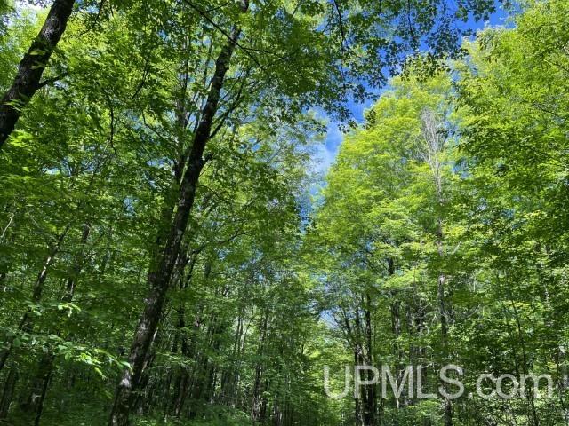 40-acres New DNR Road Crystal Falls, MI 49920 - Photo 29 of 46